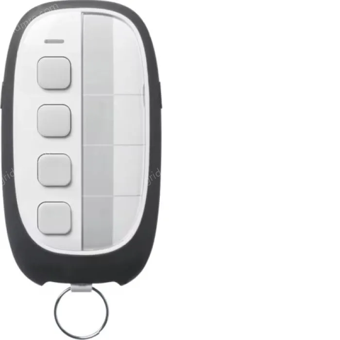 4-channel remote control