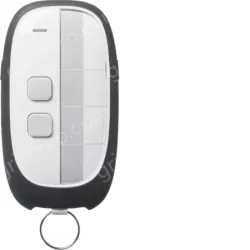 2-channel remote control